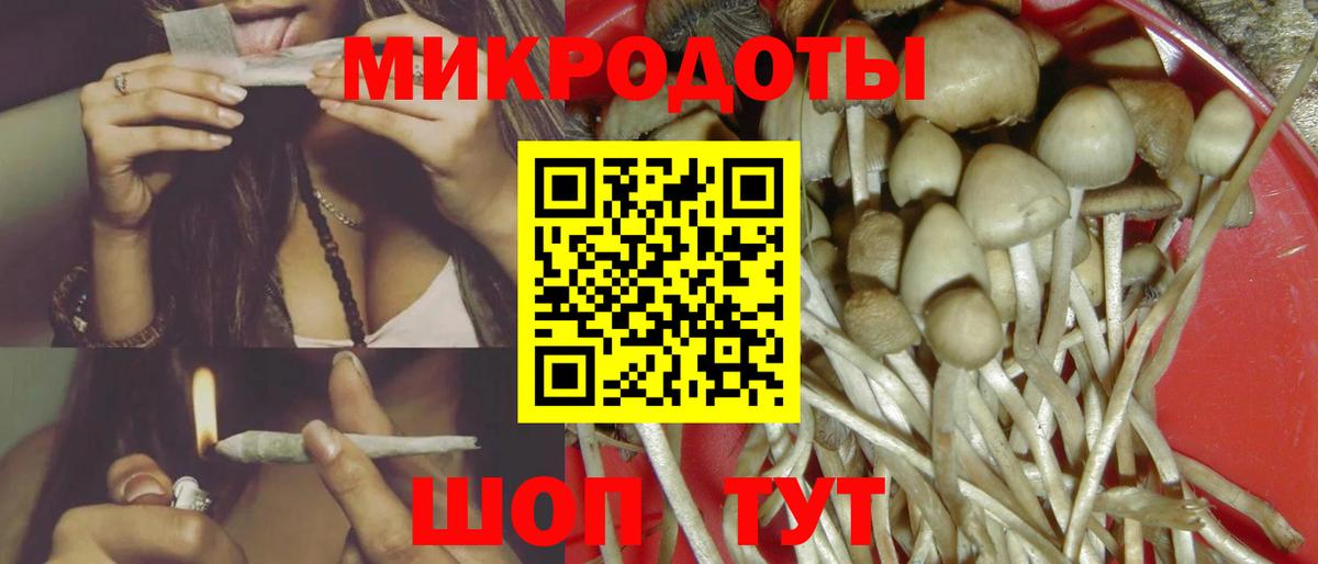 Дмитров  Галлюциногенные грибы ЛСД  Галлюциногенные грибы Cubensis  Вход с VPN 