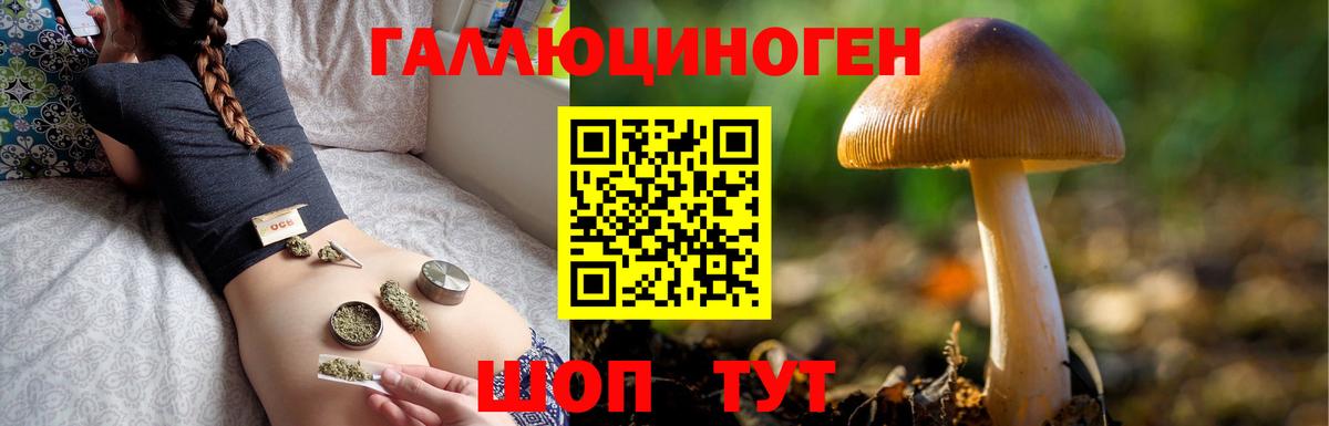Псилоцибиновые грибы прущие грибы Дмитров